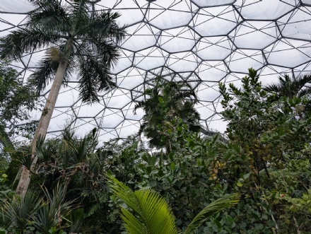 Haygrove Year 7 Students Visit the Eden Project with Knowle Hall Students